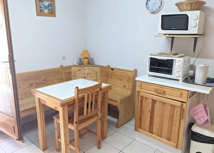Charmante T2 Mezzanine Avec Cour, Jardin, Veranda, Barbecue Et Parking Prive, Proche Et Commerces - Fr-1-797-2 *