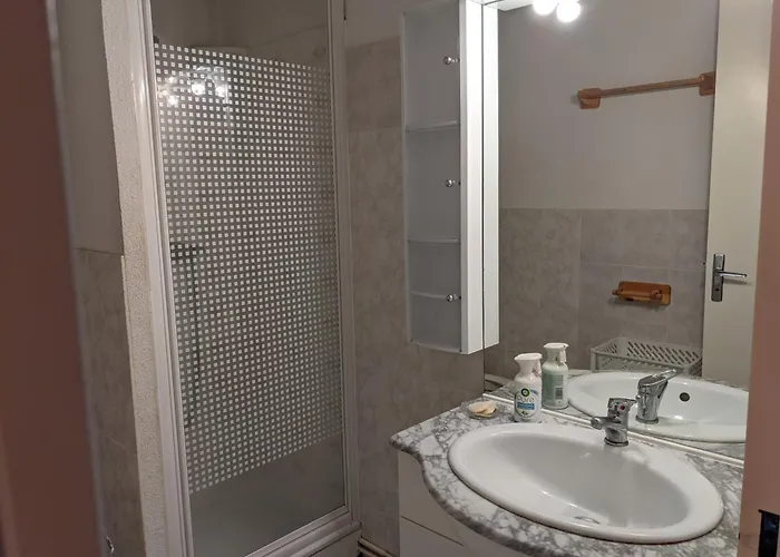 Villa Charmante T2 Mezzanine Avec Cour, Jardin, Veranda, Barbecue Et Parking Prive, Proche Et Commerces - Fr-1-797-2 *